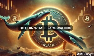 News Articles Fi Editors 24 1000x600.jpg