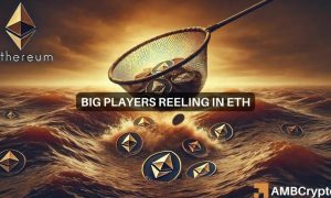 News Articles Fi Editors 37 1000x600.jpg