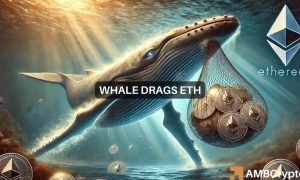 News Articles Fi Editors 50 1000x600.jpg