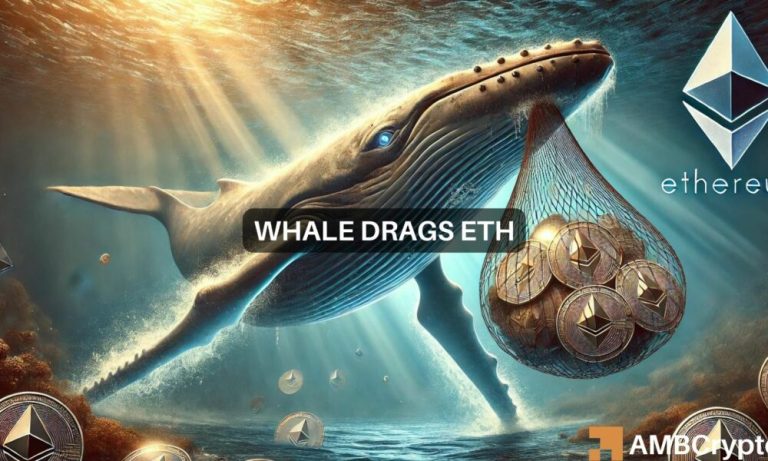 News Articles Fi Editors 50 1000x600.jpg