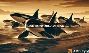 Orca Featured Image 1000x600.webp.webp