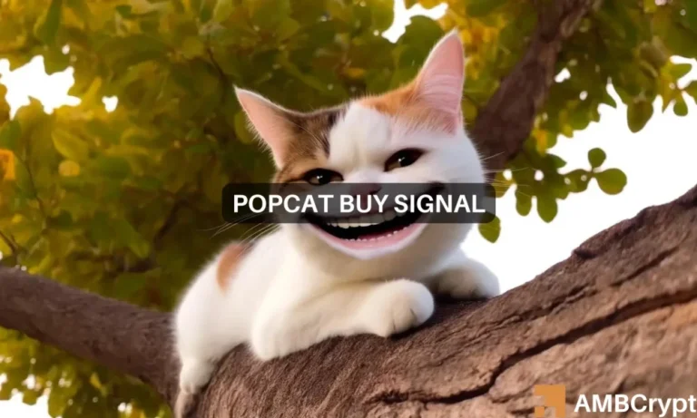 Popcat Featured Image 1 1000x600.webp.webp