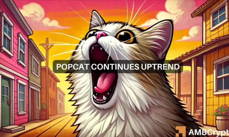 Popcat Featured Image 1000x600.webp.webp