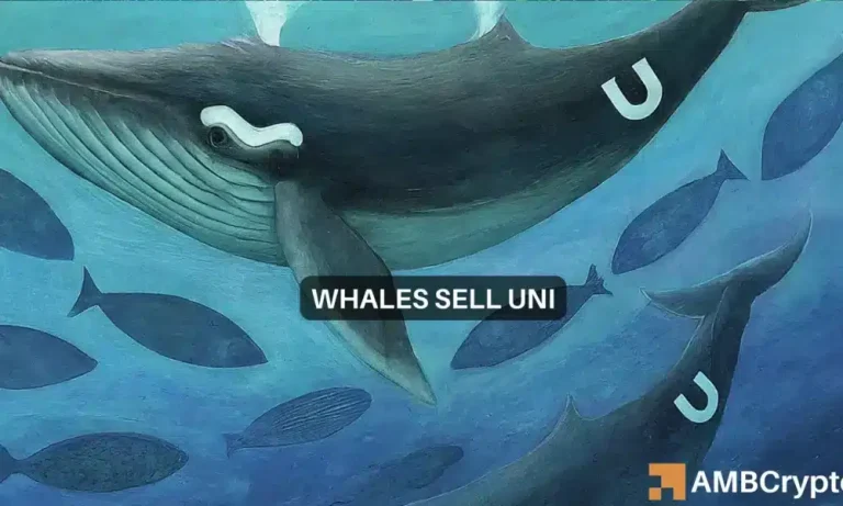 Uniswap Whales 1000x600.webp.webp