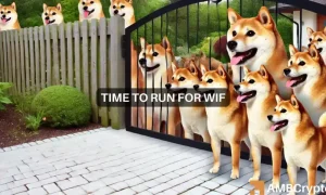 Wif 1 1000x600.webp.webp