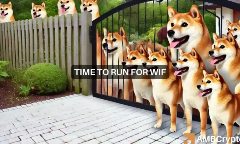 Wif 1 1000x600.webp.webp