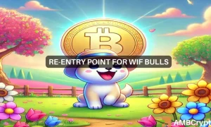 Wif Featured Image 1 1000x600.webp.webp