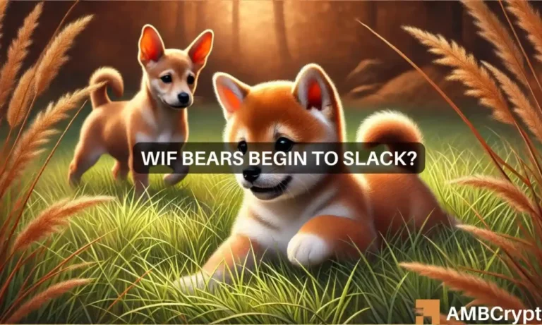 Wif Featured Image 1000x600.webp.webp