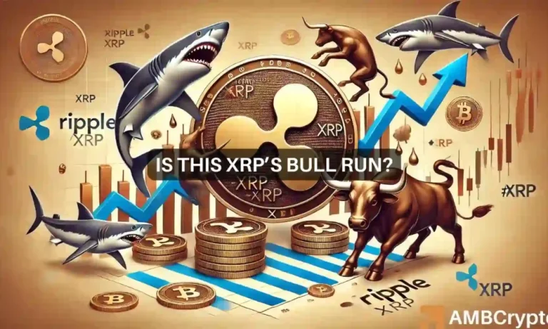 Xrp Bull Run Whales News 1000x600.webp.webp