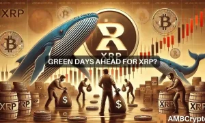 Xrp Ripple Whales News 1000x600.webp.webp