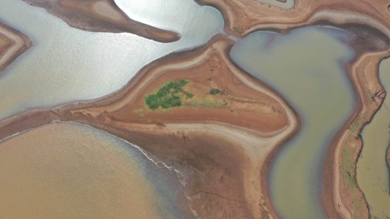 39820 8a86c9946017c976 1.jpg