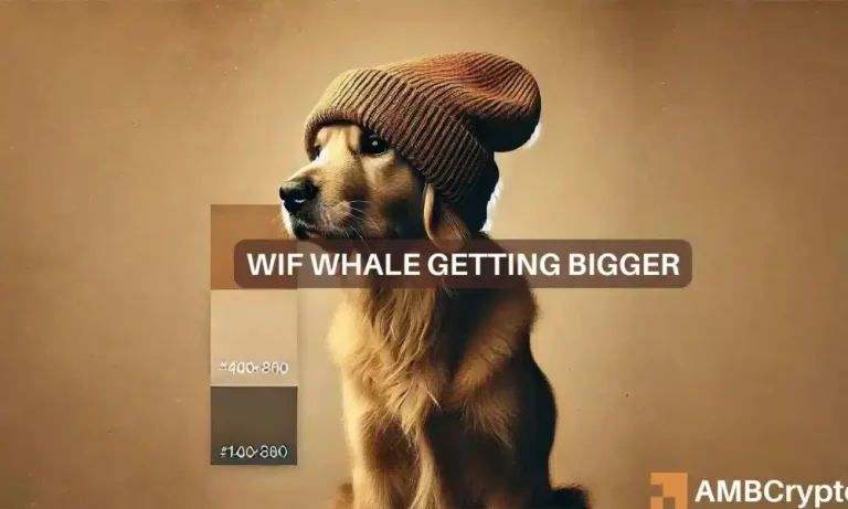 Dogwifhat 1000x600.webp.webp