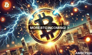 Michael Webp 5 1000x600.webp.webp