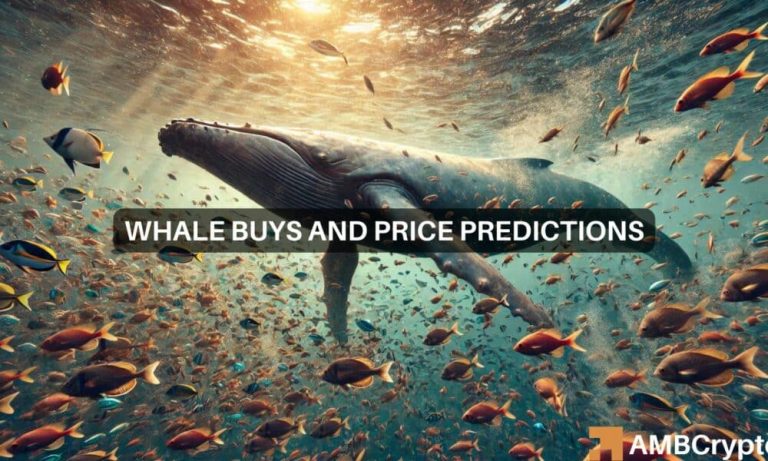 News Articles Fi Editors 2024 08 12t152654.316 1000x600.jpg