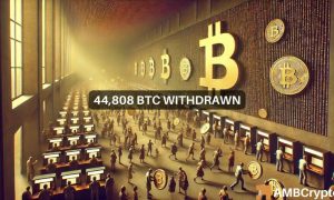 News Articles Fi Editors 2024 08 29t145858.641 1000x600.jpg