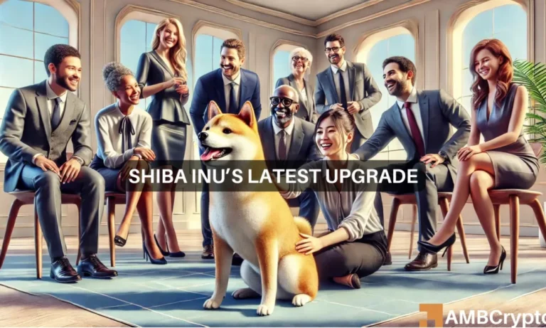 Shiba Inus Latest Upgrade 1000x600.webp.webp
