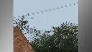 Whatsapp Image 2024 08 09 At 15.35.58.jpeg