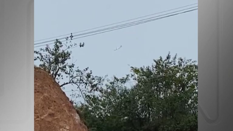 Whatsapp Image 2024 08 09 At 15.35.58.jpeg