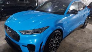 Imagem 2024 08 08t204443.769.jpg