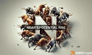 Webp Near 1000x600.webp.webp