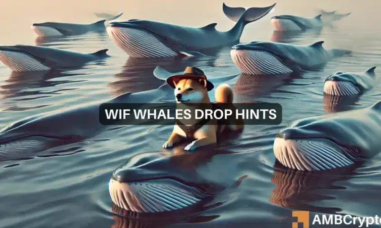 Wif Webp 2 1000x600.webp.webp
