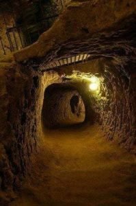 458932713 122106018410504796 385067836027559694 N