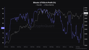 Bitcoin Utxos In Profit 1 1.png