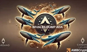 Cardano Whales 1 1000x600.webp.webp