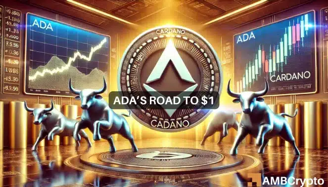 Cardanos Road To 1.webp.webp