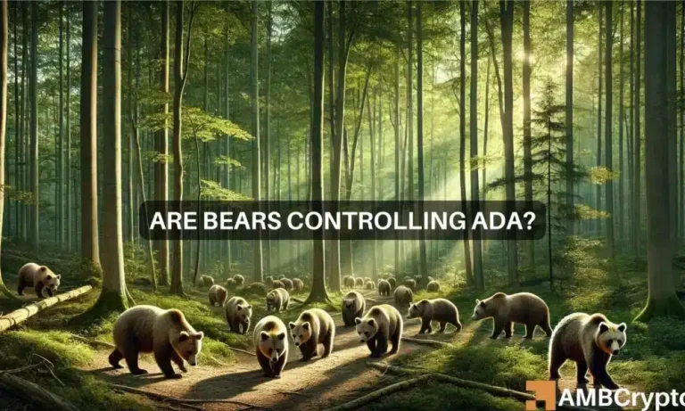 Chandan Ada 1 1000x600.webp.webp