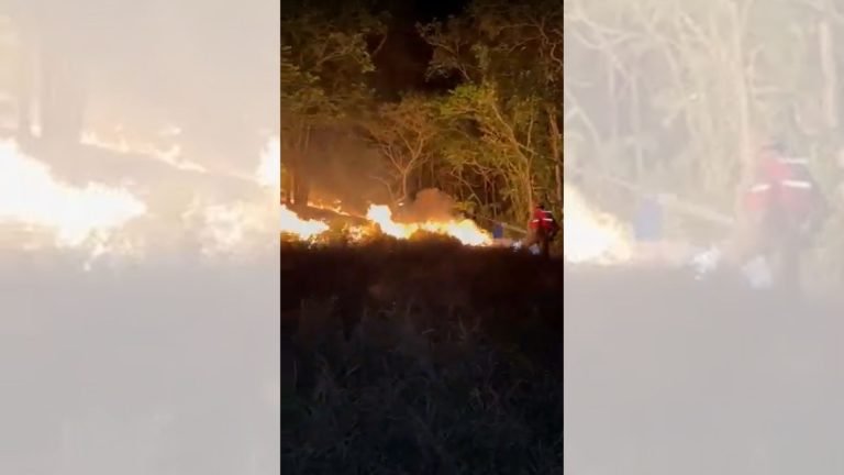 Design Sem Nome 7 4.jpg