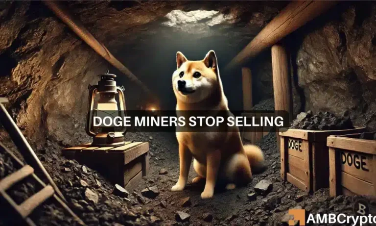 Lennox Doge 1 1000x600.webp.webp