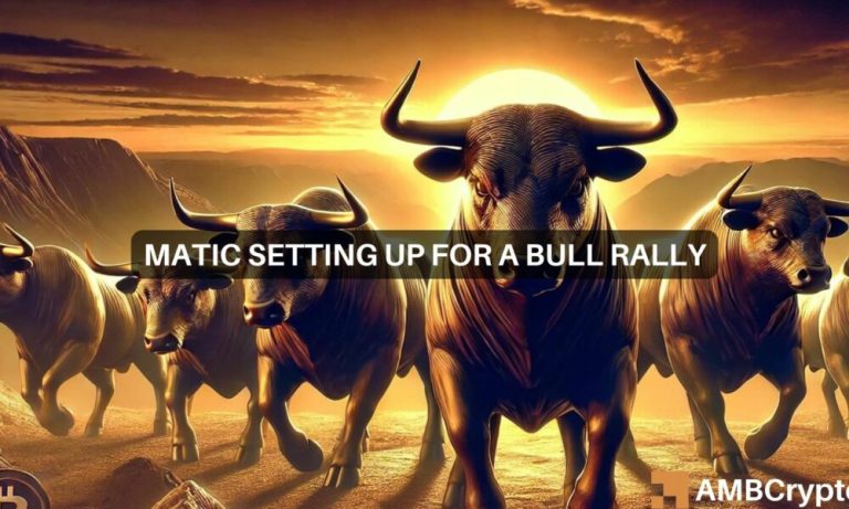 News Articles Fi Editors 2024 09 12t103804.434 1000x600.jpg