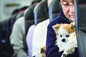 Whatsapp Image 2022 05 26 At 09.19.15.jpeg