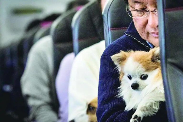 Whatsapp Image 2022 05 26 At 09.19.15.jpeg