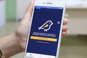 App Pardal recebeu mais de 37 mil denúncias sobre propaganda eleitoral irregular