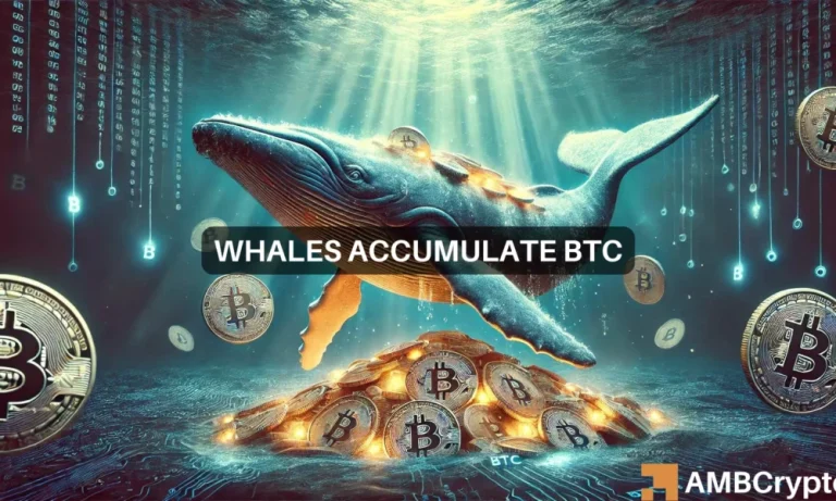 Btc Webp 7 1000x600.webp.webp