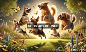 Dogs Webp 1000x600.webp.webp