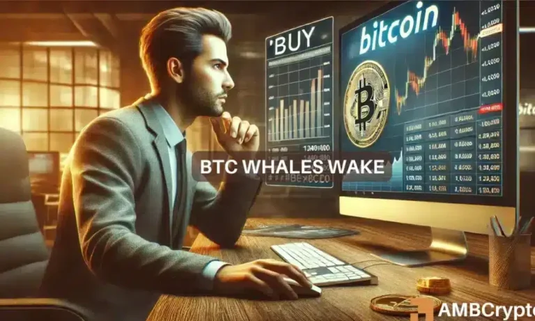 Bitcoin 1 1000x600.webp.webp
