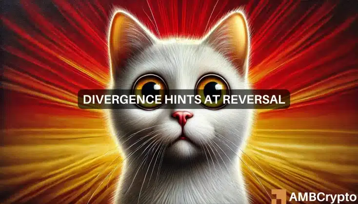 Cat Featured.webp.webp