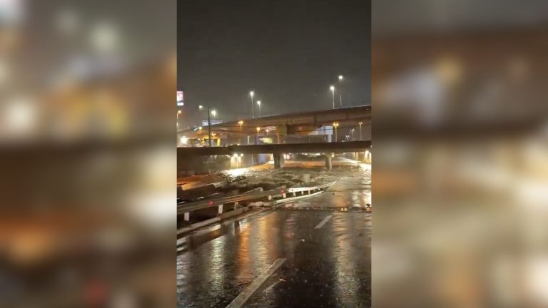 Design Sem Nome 7 4.jpg