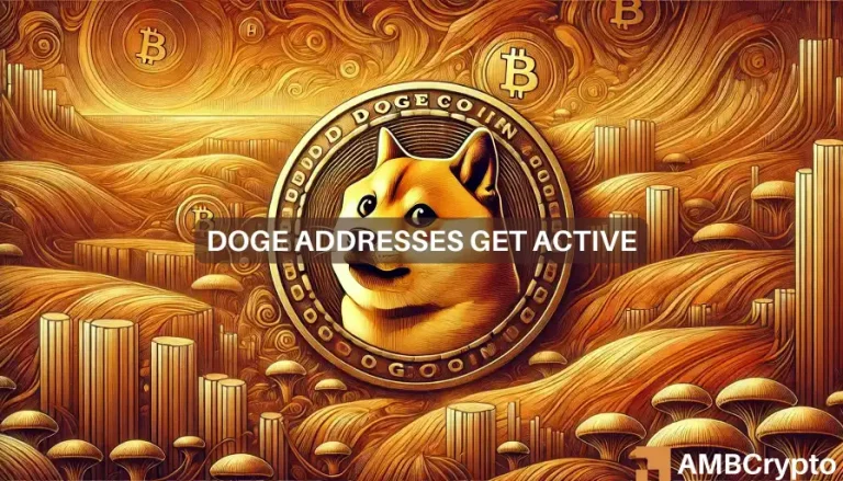 Dogecoin 1 3.webp.webp