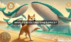 Erastus Shib 1000x600.webp.webp