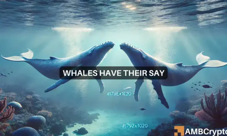 Gladys Whales 1000x600.webp.webp