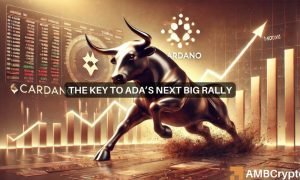 News Articles Fi Editors 2024 10 17t095416.952 1000x600.jpg