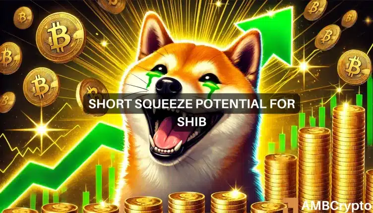 Shiba Inu Featured 2.webp.webp