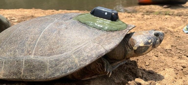 Whatsapp Image 2024 10 08 At 22.33.58.jpeg