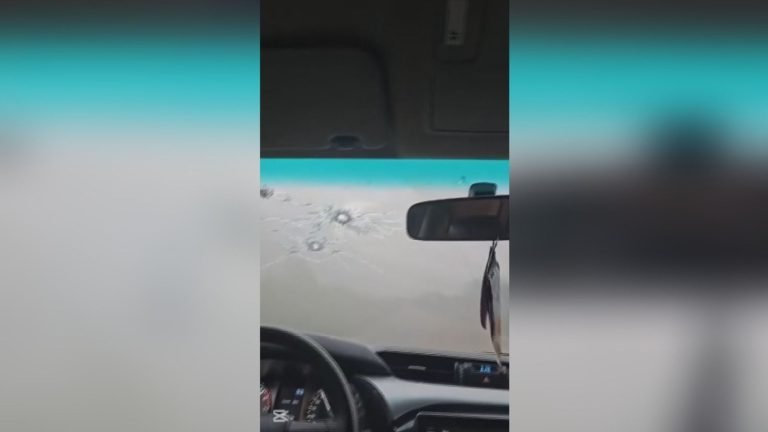 Whatsapp Image 2024 10 27 At 11.36.44.jpeg