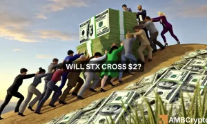Will Stx Cross 2 1000x600.webp.webp