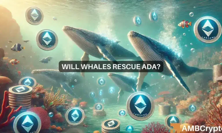 Ada Webp 1 1000x600.webp.webp